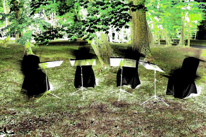 Ślub w Lisewskim Dworze