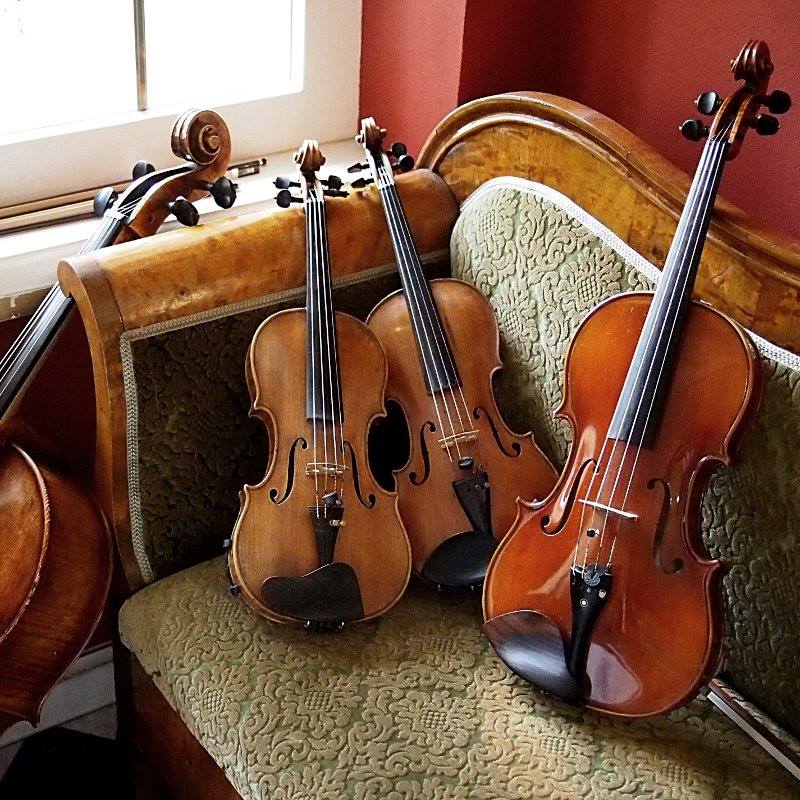 Ślub w Lisewskim Dworze